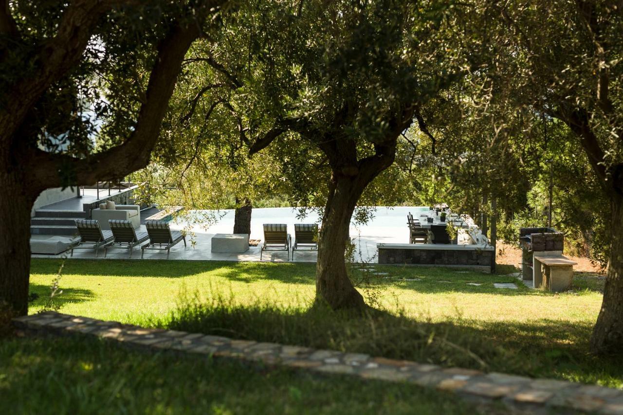 Olivia Estate Villa With Private Swimming Pool Elia Nikitis Bagian luar foto