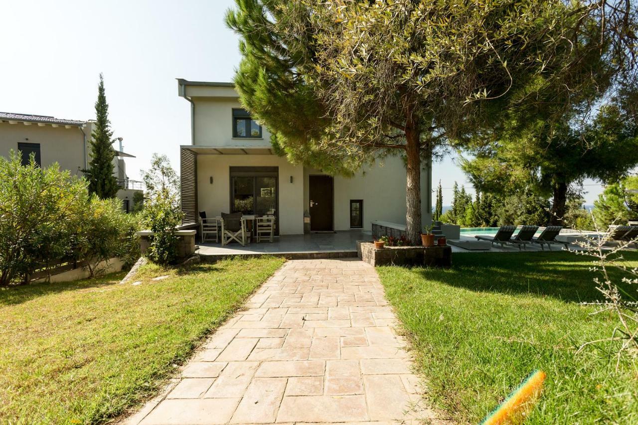 Olivia Estate Villa With Private Swimming Pool Elia Nikitis Bagian luar foto